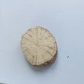 Chinese Herbs RADIX ARISTOLOCHIAE FANGCHI Aristolochia Fangchi Root Slices for Sale