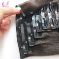 Double Drown European Remy Human Hair Seamless Pu Clip in Hair Extension Clip in Hair