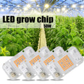Hydroponic Growing Systems 50 Watt Cob Led Chip Indoor Module Cob 50W 220V Full Spectrum Led Chip