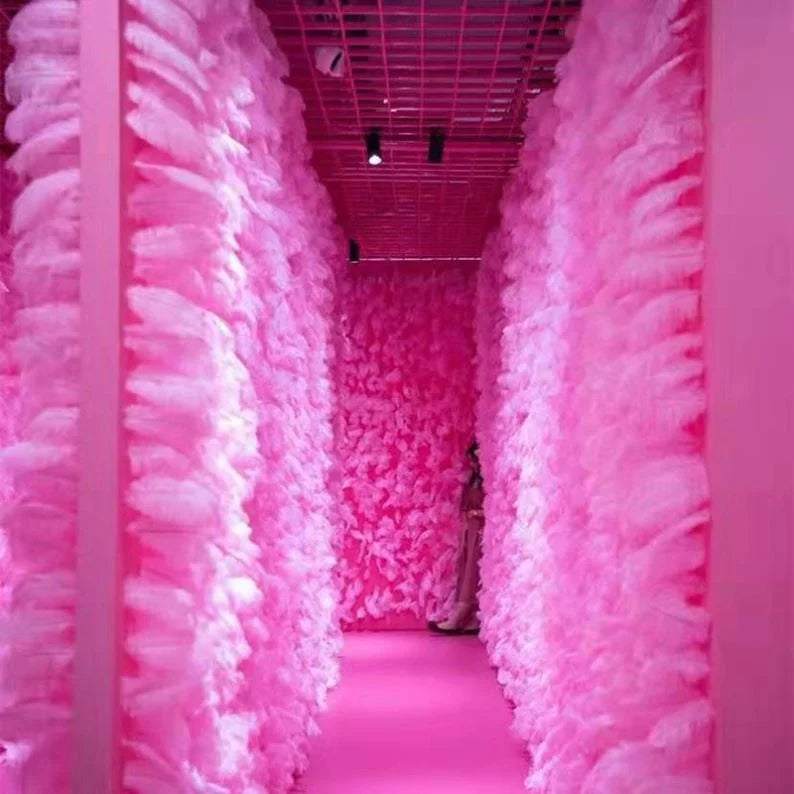 Dyed Artificial Ostrich Feather Fabric Plumas Pena Avestruz Samba Carnival Costume Feather Fans 25-30cm