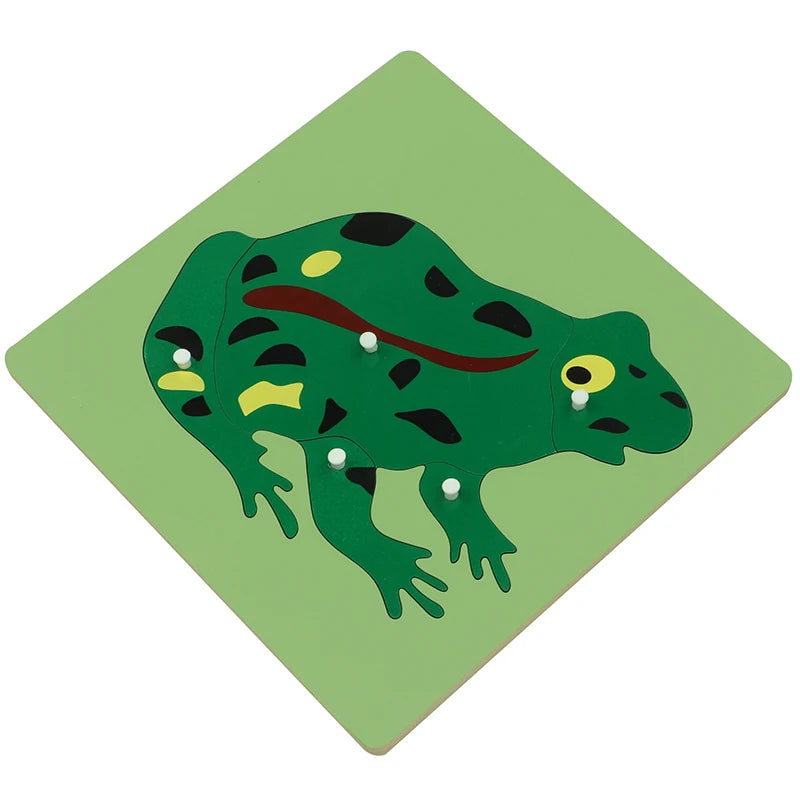 BO007(NX) Montessori Material Wooden Educational Toys of Frog Puzzle