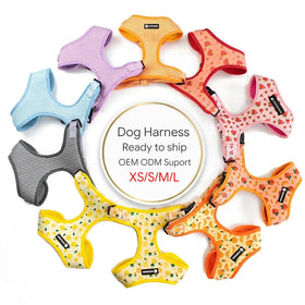 Ready to Ship Comfortable Neoprene Dog Harness Soft Breathable Mesh Padded Dachshund Small Dog Harnesses Collars and Leashes