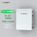 Germany Stock Deep Cycle 5kWh 10kWh 16kWh Lithium Battery Pack with Grade a Cells for Powerwall Scale Solar Energy Storage
