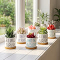 Factory Custom Retro Ceramic Small Cactus Planter Pot Mat White Succulent Stand Flower Plant Pots With Bamboo Tray