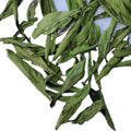 Tian Ye Ju China Raw Green Sweet Leaf Stevia Tea Natural Pure Sweetleaf Leaves for Tea