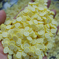 1000g DIY Craft Slime Lime Polymer Sprinkles Fruit Slices Yellow Lemon Citrus Limon Polymer Clay Sprinkles