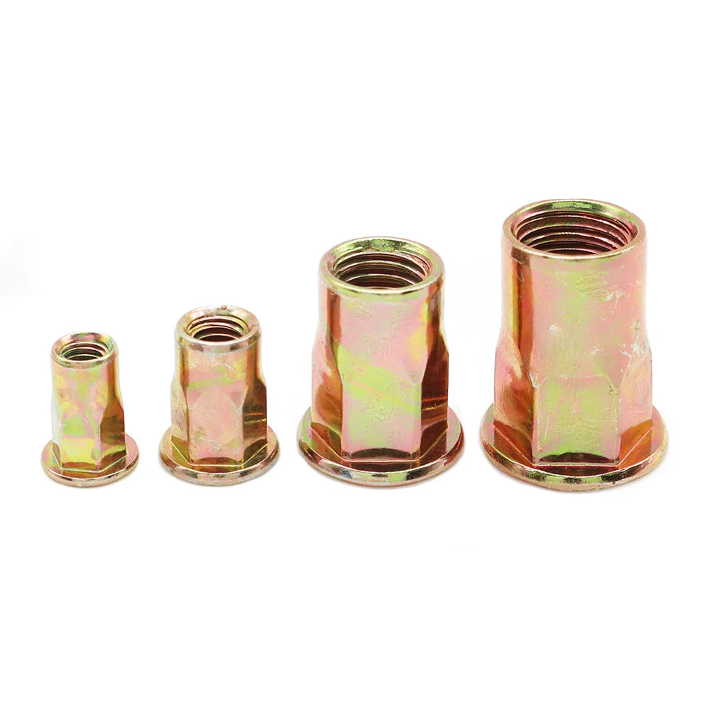 M4 M5 M6 M8 M10 Class 4.8 Carbon Steel Zinc Plated Flat Round Head Internal and External Half Hex Rivet Nuts
