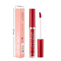 Handaiyan 12colors Liquid Long Lasting Single Lip Gloss Hot Sale 2.5ml Portable Matte Lipgloss for Girl