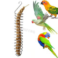 Vegetable Skewer Foraging Feed Treating Tool Hanging Bird Stainless Steel Food Holder Parrot Forager