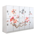 Lovely Kids ABS Plastic Locker Closet Wardrobe Cabinet Design for Sports Use