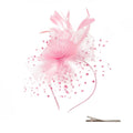 Hot Sale Vintage Feather Headdress Retro Party Hairpin Hairband Accessories Mesh Feather Headband Clip Tea Party Fascinator Hat