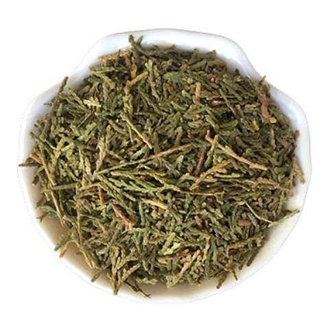 Cebaiye Traditional Chinese Herb Platycladi Cacumen Leaf Raw Dried New Platycladi Cacumen Leaves Cuts