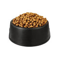 Export Quality Dog Treats Sustainable Plant-Based Nutrition High Protein Grain-Free All Breeds Life Stages Private Label OEM ODM MegaBDM