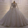 S8265F Custom Ball Gown Bridal Gowns Sheer Neck Lace Appliqued Sequins Plus Size Elegant Wedding Dress