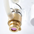 High Quality Cheap Product Good Spot Joylaser High-Power SX270 270-280W Length1700MM Diameter 100mm