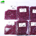 2026 1A New Natural Ruby Stones 0.8-3.0mm Red Heat Treated Quality Gemstone for Jewelry View Photos