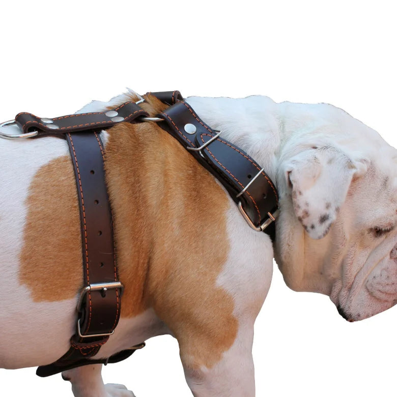 Genuine Leather No Pull Dog Harness Pet Training Walking Harness Pitbull Dog Vest