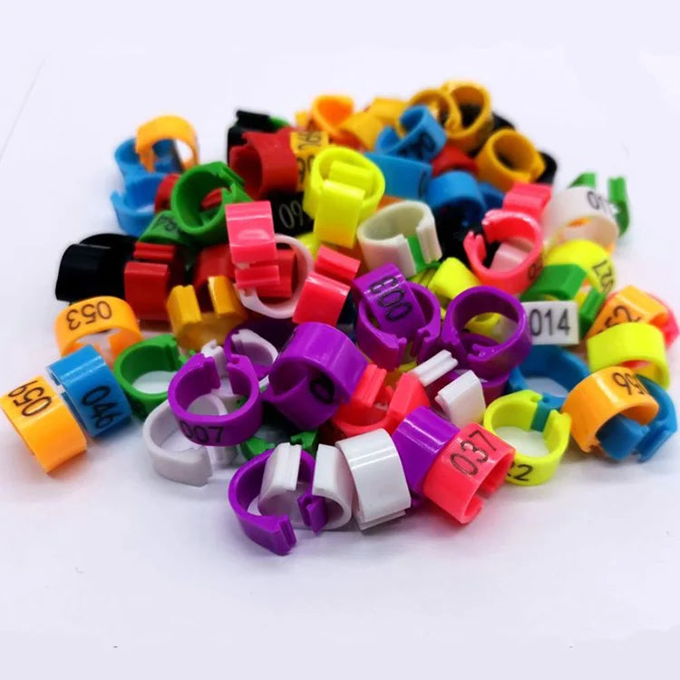 Plastic Bird Leg Bands Cheap Pigeon Leg Rings Colorful 8Mm 10Mm Bird Pigeon Foot Ring With Serial Number