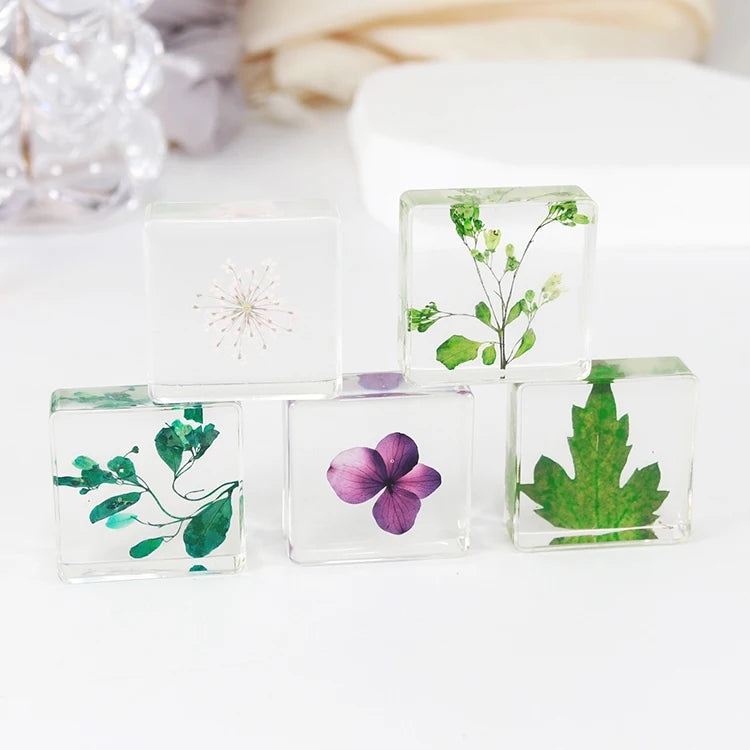 Resin Plant Specimen Decoration Crafts Custom Rectangle Transparent Resin Flower Plant Paperweight
