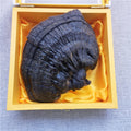 Ling Zhi High Quality Reishi Mushroom Dried Ganoderma Lucidum for Herbal