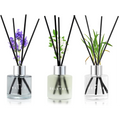 Perfume at Room Les Parfum De Chambre Perfume Liquid Room Perfume for Room