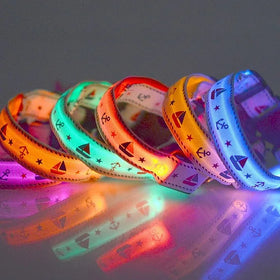 Wholesale Usb Rechargeable Flashing Dog Collars