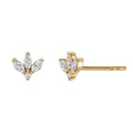 Milskye Fine Jewelry 925 Sterling Silver Gold Plated Cubic Zircon Clover Leaf Stud Earrings