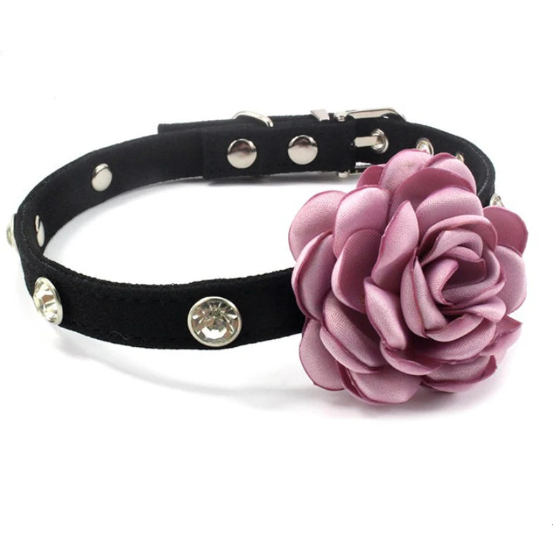 Wholesale Rhinestone with Camellia  Floral Pet Dog Collar