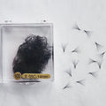 Pointy Base Volume Loose Fans Mega Volume Premade Fans 20D Pro-Made Fans Eyelash Extension