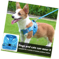 Wholesale Lightweight Adjustable Polyester Pet Cat Vest and Dog Chest Harness Breathable Reflective Air Mesh Soft Leash