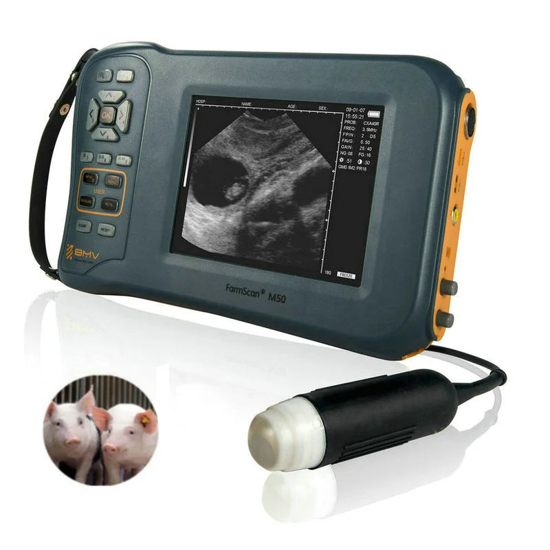Best-selling Veterinary B-mode Ultrasound Scanning Portable Animals Battery Vet Ultrasound Machine MegaBDM