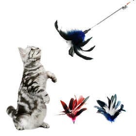 Spring Pole Feather with Bells Funny Cat Stick Bite Resistant Kitty Supplies Feather Cat Toy