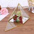 Modern Metal Glass Succulent Plant Terrarium  Indoor Home and Garden Mini Metal Glass Terrarium Greenhouse for Flower Plant