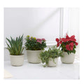 Free Sample Multi Size 3.5 10.6 Inch Large Round White Plastic Garden Flower Planter Terracotta Pot with Saucer