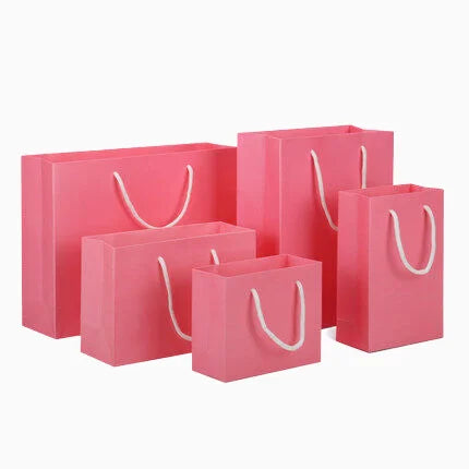 Luxury Shopping Clothes Plain Gift Packaging Grocery Paper Bag With Rope