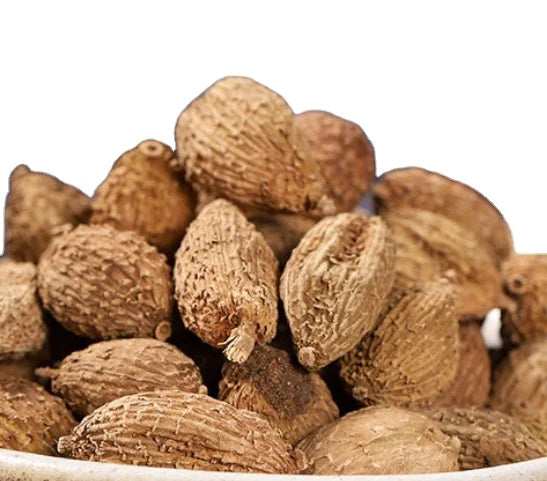 Sha Ren Herb Wurfbainia Villosa Pods Natural Dried Whole Amomum Villosum Fruits With Shells