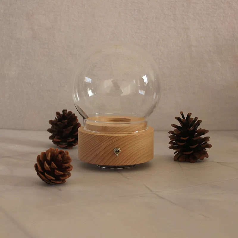 Wooden Base Romantic Gift Flower Music Box Clockwork Spring Music Box With Glass Dome