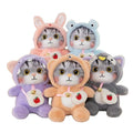 Songshan Toys Peluches Kawaii Custom Cute Cartoon Transfer Cat Girl Comforting Ceremony Gift Stuffed Animal Plush Cat Toy