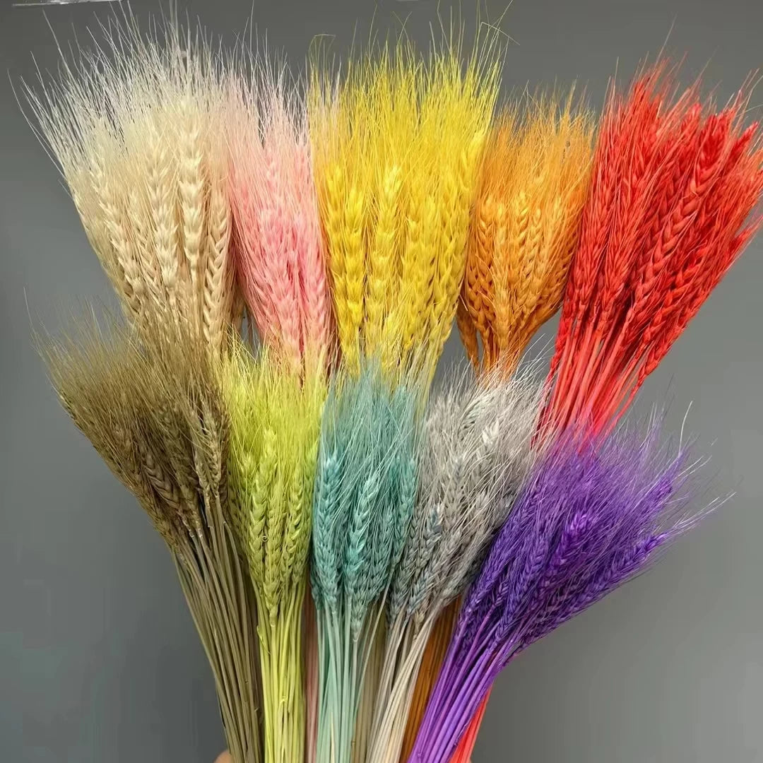 Factory Supply Natural Dried Flowers Straw Grass Dried Wheat Flowers for Home Decoration