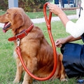 Adjustable Collar Set Walking PU Pet Dog Leather Collar and Leather Dog Leash Dog Collar and Leash Set