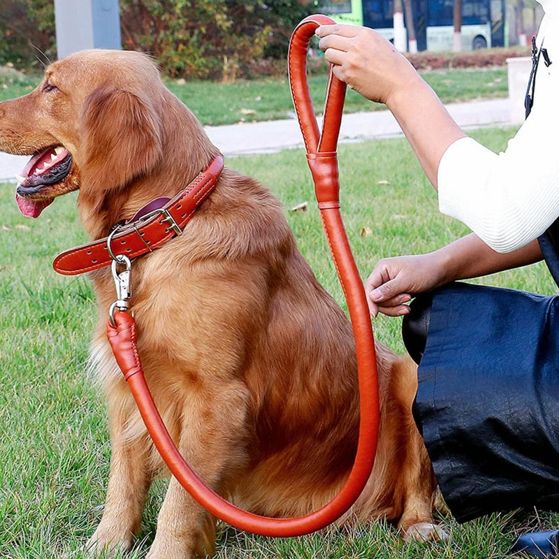 Adjustable Collar Set Walking PU Pet Dog Leather Collar and Leather Dog Leash Dog Collar and Leash Set