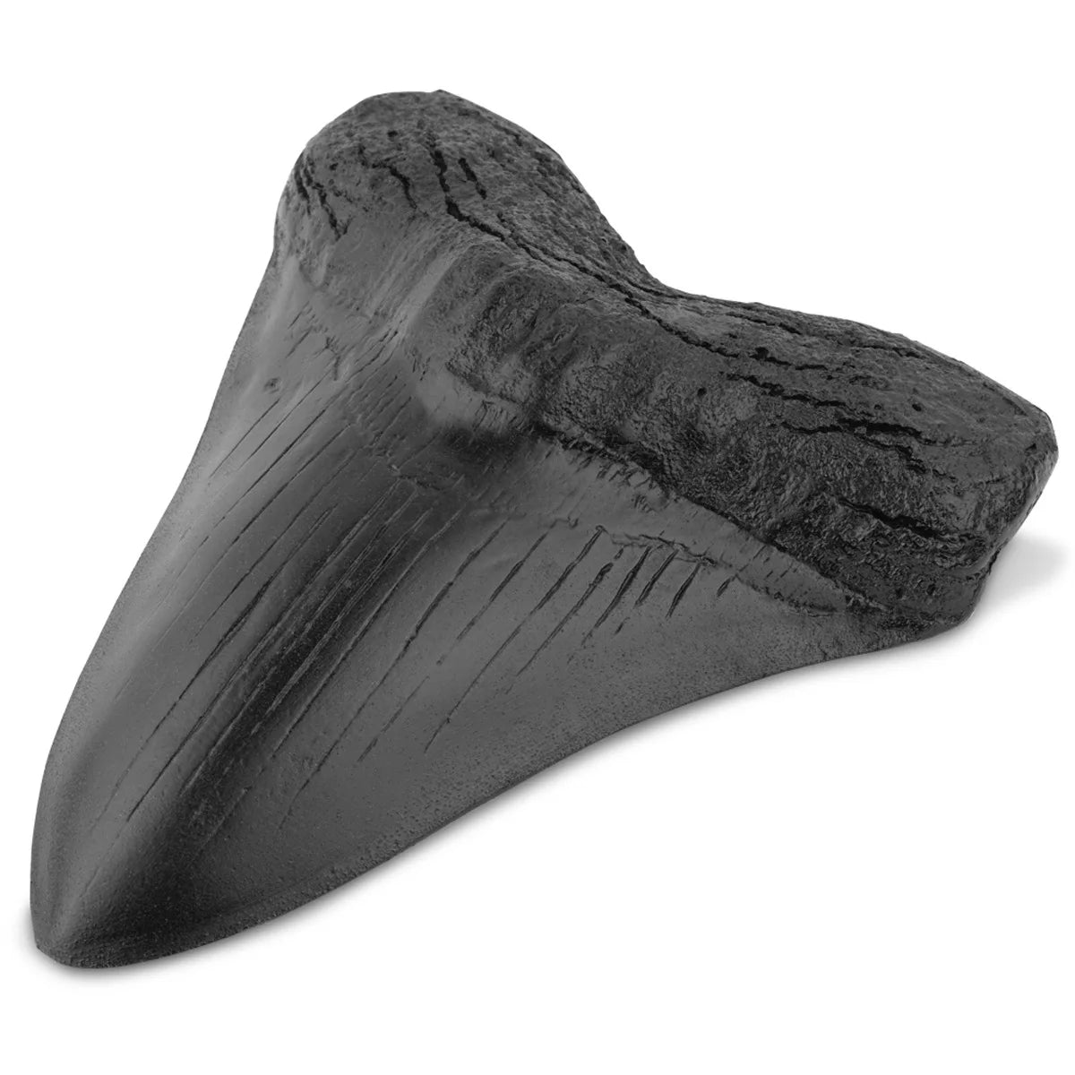 Retro Resin Shark Teeth SKE01 Giant Megalodon Tooth Resin Mascot Ornaments for Home Decoration