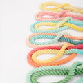 Hot Sale Customized Handmade Dog Leash Luxury Colored Pet Rope with Reflective Feature Breakaway Rivet Decoration Nylon Material