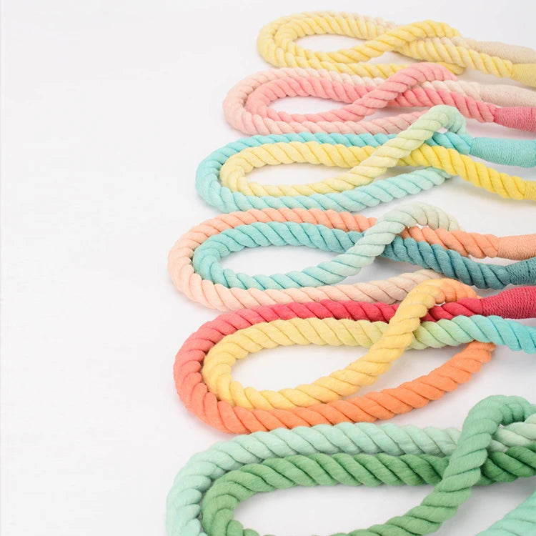 Hot Sale Customized Handmade Dog Leash Luxury Colored Pet Rope with Reflective Feature Breakaway Rivet Decoration Nylon Material
