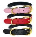 Golden Supplier High Quality Plain Genuine Leather Luxury Dog Collar