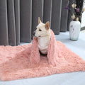 Pet Blanket Cat Pad Double Layer Autumn and Winter Large Medium and Small Dogs Warm and Comfortable Coral Fleece Blanket Plush