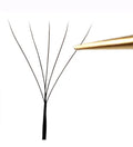YY Shape 4D 5D 6D Effect Clover Lashes Fluffy Individual Eyelash Extensions W Lashes 0.05/0.07mm Color Eyelashes