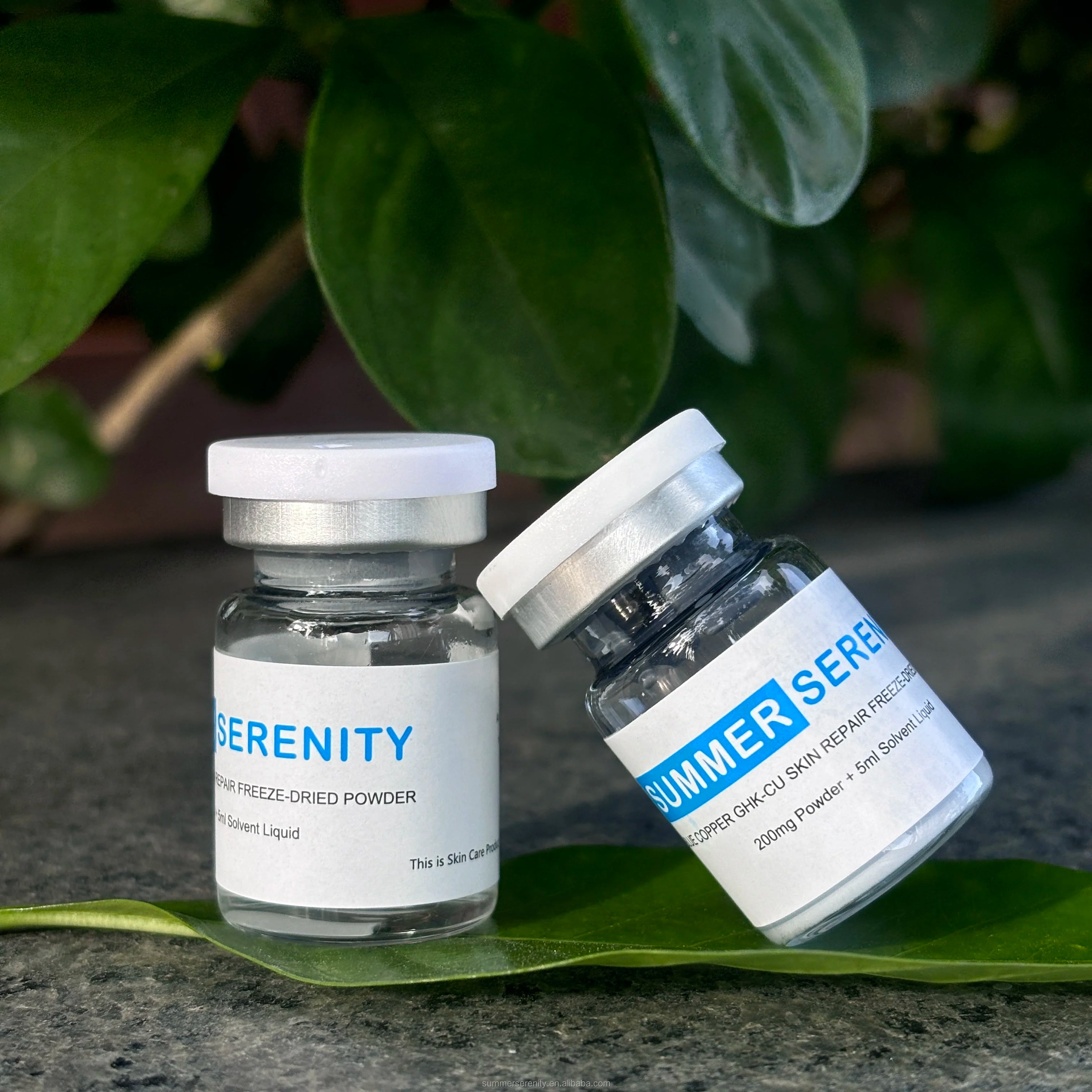 Private Label 5ml Blue Copper Peptide GHK-CU Freeze Dried Powder Anti-ageing Face Firming Lyophilized Powder Facial Essence