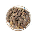 Qing Guo Whole Dried Raw Chinese White Olive Fruit Fructus Canarii for Sale