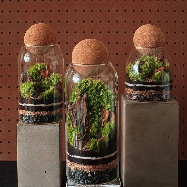 Stock Planter Pot Glass Terrarium Containers with Ball Cork Top Lid for Water Plants Succulent Indoor Tabletop Vase Decoration